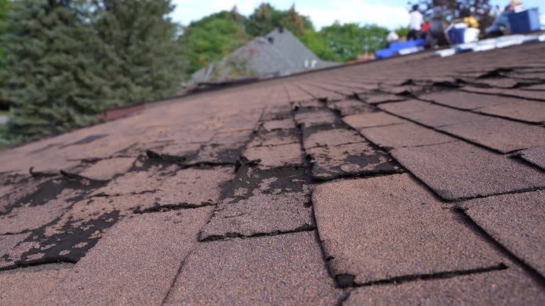 Best Roof Waterproofing  in Glenwood, IL