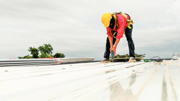 Best Gutter Installation and Repair  in Glenwood, IL