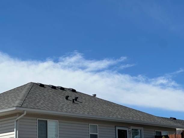 Best Roof Leak Repair  in Glenwood, IL